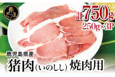 【南さつまジビエ】鹿児島県南さつま産 猪（いのしし）肉　焼肉用 750g（250g×3P） 冷凍 グルメ ジビエ肉 ジビエ イノシシ 焼肉 焼肉セット