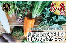 【鹿児島県南さつま市産】福元農園 旬のお野菜 おまかせセット 1箱（5～8品目） 野菜 詰め合わせ 数量限定 鹿児島 南さつま市