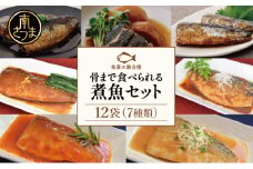 【袋のままレンジでOK】魚屋の腕自慢 煮魚 12袋 セット（7種） さば の味噌煮 ぶり 大根 いわし の醤油煮 いわしの黒酢煮 おかず お惣菜 常温 保存 YSフーズ 南さつま市　