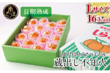 【長期熟成柑橘】蔵出し不知火（しらぬい） Lサイズ 16玉前後 約3kg みかん 柑橘 フルーツ 狩集農園 果物 鹿児島 南さつま市