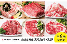 【スターゼン厳選定期便】鹿児島県産 黒毛和牛・黒豚定期便 （全6回） サーロイン ステーキ 切り落とし しゃぶしゃぶ 焼肉 すき焼き ローススライス 定期便 冷凍 スターゼン 南さつま市