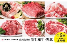 【スターゼン厳選定期便】鹿児島県産 黒毛和牛・黒豚定期便 （全6回） サーロイン ステーキ 切り落とし しゃぶしゃぶ 焼肉 すき焼き ローススライス 定期便 冷凍 スターゼン 南さつま市