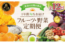 【定期便】南国の恵み 旬のフルーツ・野菜定期便（全12回） 鹿児島県産 果物 フルーツ 柑橘 野菜 お茶 米 コシヒカリ ぶどう 巨峰 マンゴー メロン 定期便