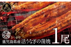 【鹿児島県産】活うなぎの蒲焼1尾 鰻 ウナギ 丑の日 グルメ うな重 うな丼 蒲焼 かば焼き お取り寄せ