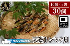 【素潜り漁師直送】【袋に入った冷凍のままでレンジ対応】【南さつま市　笠沙産　天然トンミナ貝】