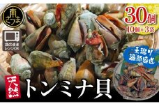 【素潜り漁師直送】【袋に入った冷凍のままでレンジ対応】【南さつま市　笠沙産　天然トンミナ貝】