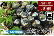 【素潜り漁師直送】【袋に入った冷凍のままでレンジ対応】【南さつま市 笠沙産 天然マミナ貝】 シッタカ クボガイ 海産物 魚介類 鹿児島県 南さつま市 隆康産業