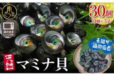 【素潜り漁師直送】【袋に入った冷凍のままでレンジ対応】【南さつま市 笠沙産 天然マミナ貝】 シッタカ クボガイ 海産物 魚介類 鹿児島県 南さつま市 隆康産業