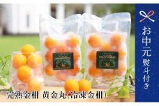 【お中元ギフト】鹿児島県南さつま市産 完熟金柑 黄金丸（冷凍保存） フルーツ きんかん 柑橘 冷凍 完熟 清木場果樹園 南さつま市 贈り物 ギフト 贈答用