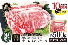 【訳あり】4等級以上！鹿児島県産黒毛和牛 サーロインステーキ 約500g 約170g×3枚 ★数量限定★ 国産 牛肉 サーロイン ステーキ 和牛 A4 お肉 肉 焼肉 BBQ バーベキュー スターゼン 冷凍