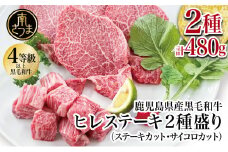 【鹿児島県産】A4等級以上黒毛和牛ヒレステーキ2種480g (ステーキカット・サイコロカット） 黒毛和牛 ヒレ ステーキ 冷凍 カミチク 南さつま市