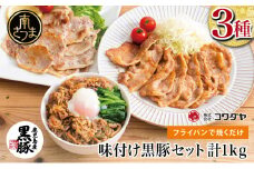 【鹿児島県産】味付け黒豚セット 3種類 計1kg（ネギ塩、生姜焼き、ビビンバ） 総菜 おかず 小分け 冷凍 詰め合わせ コワダヤ 南さつま市
