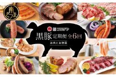 【定期便 全6回】黒豚のプロフェッショナル「コワダヤ」の厳選黒豚味わい尽くしコース しゃぶしゃぶ 生姜焼き 焼き豚 焼豚 ウインナー ソーセージ ロース 切落し 切り落とし 鹿児島県産 冷凍 南さつま市