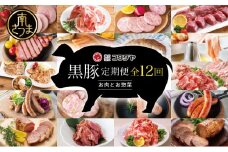 【毎月届く定期便】黒豚のプロフェッショナル「コワダヤ」の厳選黒豚味わい尽くしコース（全12回） しゃぶしゃぶ 生姜焼き 焼き豚 焼豚 ウインナー ソーセージ ロース 切落し 切り落とし 鹿児島県産 冷凍 南さつま市
