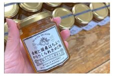 【鹿児島県産】金柑はちみつ水のど飴 150g×3本 自家製 飴 のど飴 フルーツ 鹿児島県 南さつま市産 金柑 きんかん ギフト ご贈答