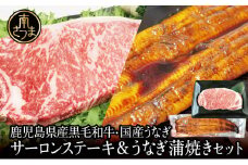 鹿児島県産黒毛和牛サーロインステーキ＆国産うなぎ蒲焼き スタミナセット（同梱発送） 牛肉 サーロイン 国産 鰻 贈答 冷凍 スターゼン ギフト 南さつま市