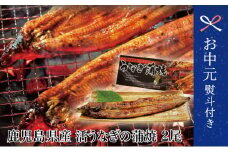 【お中元ギフト】鹿児島県産 活うなぎの蒲焼2尾 国産 鰻 ウナギ うな重 うな丼 蒲焼 かば焼き 南さつま市 贈り物 夏ギフト 贈答用