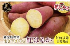 ★10月発送開始★ 鹿児島県産生さつまいも 「紅はるか」約5kg 先行受付 さつまいも 焼き芋 さつま芋 甘藷 サツマイモ べにはるか スイーツ JA 南さつま市