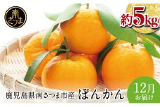【先行受付：12月下旬発送】数量限定！鹿児島県産 ぽんかん 約5kg 先行受付 みかん 柑橘 フルーツ くだもの 果物 旬 常温 南さつま市 JA南さつま