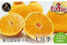 【12月発送】数量限定！ 鹿児島県産 不知火「大将季」（だいまさき）約3kg 果物 フルーツ 柑橘 みかん しらぬい ブランド 常温 JA 南さつま市