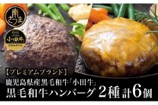 【プレミアムブランド】鹿児島県産黒毛和牛「小田牛」 牛肉100％ 2種類のハンバーグステーキ 計6個（120g×各3個） チーズハンバーグ 牛肉 総菜 おかず レトルト 黒毛和牛 小田畜産 冷凍 ギフト 贈答 南さつま市
