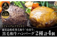 【プレミアムブランド】鹿児島県産黒毛和牛「小田牛」 牛肉100％ 2種類のハンバーグステーキ 計4個（120g×各2個）チーズハンバーグ 牛肉 総菜 おかず レトルト 黒毛和牛 小田畜産 冷凍 ギフト 贈答 南さつま市