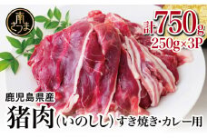 【南さつまジビエ】鹿児島県南さつま産 猪（いのしし）肉　すき焼き・カレー用 計750g（250g×3P） 冷凍 グルメ ジビエ肉 ジビエ イノシシ 調理用