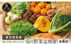 【全4回 定期便】鹿児島県産 南の大地で育てられた旬の野菜定期便 セット 詰合せ 鹿児島 エスランドル 野菜 お野菜 野菜BOX 旬 果物 フルーツ 定期配送 南さつま市