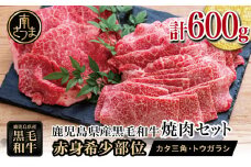 鹿児島県産黒毛和牛 焼肉用 計600g 赤身希少部位2種セット 食べ比べ 牛肉 冷凍 スターゼン バーベキュー BBQ 焼肉 国産 肉 希少部位 小分け セット 食べ比べ  南さつま市 【数量限定】