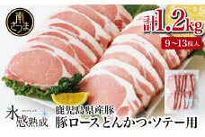 【氷感熟成豚】★数量限定★ 鹿児島県産 豚ロース とんかつ・ソテー用 計1.2kg 肉 お肉 焼肉 炒め物 とんかつ ステーキ ソテー 照焼き おかず 惣菜 お弁当 豚肉 かごしま スライス グルメ 冷凍 スターゼン 南さつま市