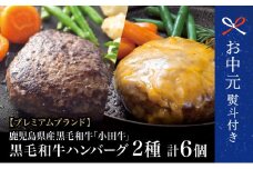 【お中元ギフト】【プレミアムブランド】鹿児島県産黒毛和牛「小田牛」 牛肉100％ 2種類のハンバーグステーキ 計6個（120g×各3個） チーズハンバーグ 牛肉 総菜 おかず レトルト 黒毛和牛 小田畜産 冷凍 南さつま市 贈り物 ギフト 贈答用