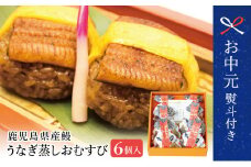 【お中元ギフト】【鹿児島県産 鰻】万のせ うなぎお結び6個 国産 ウナギ 鰻 オニギリ 冷凍おにぎり 蒸しおむすび ご飯 鹿児島県産米 小分け 簡単調理 おかず お惣菜 南さつま市 贈り物 ギフト 贈答用
