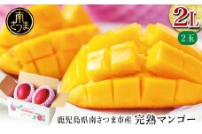 【数量・期間限定】 鹿児島県産 完熟マンゴー 2L 2玉 ＜2025年6月～順次発送＞贈答品用 ギフト オリジナル白箱入り アップルマンゴー アーウィン種 果物 フルーツ 国産 鹿児島県南さつま市金峰町産 東口農園