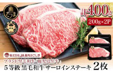 【和牛日本一】5等級 鹿児島黒牛サーロインステーキ 2枚 計400g（200g×2P） 牛肉 ステーキ バーベキュー BBQ 牛 お肉 黒毛和牛 ジューシー 国産 霜降り JA食肉かごしま 南さつま市