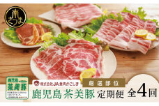 【ブランド豚定期便 全4回】鹿児島茶美豚（チャーミートン）の厳選部位定期便 JA食肉かごしま お肉 ブランド 豚 豚肉 スライス 小分け 焼肉 BBQ ロース バラ しゃぶしゃぶ 惣菜 グルメ お取り寄せ 冷凍 JA食肉かごしま