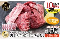 ★最短発送★ 鹿児島県産 A5等級 黒毛和牛 焼肉 切り落とし 計1.25kg（250g×5P）【数量限定・期間限定：8月31日まで！】 夏の生活応援 特別企画 国産牛 牛肉 国産 焼き肉 カミチク 切落し おまかせ BBQ バーベキュー 小分けパック 冷凍