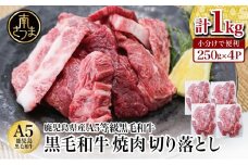 鹿児島県産 A5等級 黒毛和牛 焼肉 切り落とし 計1kg（250g×4P）国産牛 牛肉 和牛 国産 焼き肉 切落し おまかせ サイズ不揃い BBQ バーベキュー 小分けパック 冷凍 カミチク 南さつま市