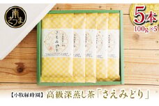 【日本茶AWARD受賞】高級深蒸し茶「さえみどり」 5本セット (100g×5袋) ギフト 贈答 鹿児島県産 かごしま お茶 日本茶 緑茶 茶葉 南さつま市 小牧緑峰園