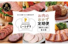 【定期便 全6回：偶数月発送】お肉のおかず定期便［みなみさつまのミートデリ］ ハンバーグ ウインナー ソーセージ ローストポーク ハム ピスタチオ入り フランクフルト ミートローフ 豚モモ ローストビーフ 鹿児島県産 冷蔵 冷凍 南さつま市