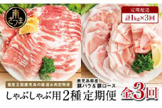 【定期便 全3回】カミチクのしゃぶしゃぶ用 豚肉 2種類 計1kg × 3回 ～鹿児島県産 ロース ＆ バラ 合計3kg 豚肉 ローススライス バラスライス 豚バラ しゃぶしゃぶ グルメ 小分け 冷凍 カミチク 南さつま市