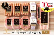 【マイスター山野井】ハム・ソーセージ 5種 詰合せ 計10P ★最短発送★ ウインナー ベーコン ハム スライス お取り寄せ 肉 豚肉 ご当地 鹿児島 グルメ ロースハム オードブル 惣菜 おかず おせち パーティー 手土産 ギフト  贈り物 贈答用 ご贈答 詰め合わせ セット 冷蔵 南さつま市