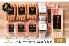 【マイスター山野井】ハム・ソーセージ 5種 詰合せ 計10P ウインナー ベーコン ハム スライス お取り寄せ 肉 豚肉 ご当地 鹿児島 グルメ ロースハム オードブル 惣菜 おかず おせち パーティー 手土産 ギフト  贈り物 贈答用 ご贈答 詰め合わせ セット 冷蔵 南さつま市