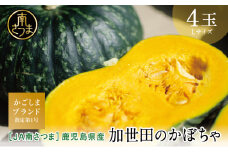 ◆5月出荷開始◆【かごしまブランド】加世田のかぼちゃ 4個 ［春出荷］ 野菜 カボチャ 常温 鹿児島県産 JA 南さつま市