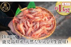 【数量限定】鹿児島県産 天然たかえび（生食用） 約1kg ［Lサイズ］ 薩摩甘エビ ヒゲナガエビ 刺身 海鮮 海老 海鮮丼 塩焼き 冷凍 丸航丸 南さつま市 野間池