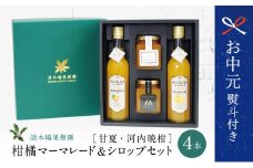 【お中元ギフト】マーマレード＆シロップ４本セット（甘夏・河内晩柑）フルーツシロップ 柑橘 果物 フルーツ ジュース フルーツソース  ジャム 南さつま市 贈り物 ギフト 贈答用