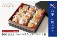 【お中元ギフト】国産小麦とバターの手作りスコーン12個（プレーン、ベリーレモン、チョコ） クッキー 焼き菓子 スイーツ お菓子 ホットビスケット パン 南さつま市 贈り物 ギフト 贈答用