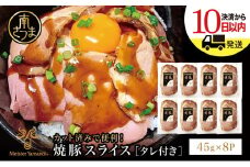 ◆数量限定◆ 焼豚スライスセット 45g×8P 特製タレ付 マイスター山野井 チャーシュー 炭火焼 焼き豚丼 カット済み 簡単調理 肉 豚肉加工品 冷蔵 惣菜 おかず 家庭用 炭火 ラーメン 丼 鹿児島 グルメ ギフト 贈答用 贈り物 南さつま市