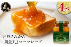 完熟きんかん「黄金丸」マーマレード 4本セット 金柑 ジャム 柑橘 果物 パンやヨーグルトに フルーツ 朝食 清木場果樹園 瓶入り プレゼント ギフト 贈答用 贈り物 手土産 南さつま市