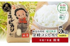 【令和7年産 新米】特別栽培米 金峰コシヒカリ石蔵米5kg×1袋 コシヒカリ 特別栽培農産物 コメ おこめ 5キロ こしひかり 米 鹿児島県産 南さつま市