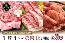 【厳選焼肉定期便】黒毛和牛・ブランド豚・牛タン 全3回コース 牛肉 焼肉 焼き肉 BBQ バーベキュー 豚肉 バラ ロース 牛タン お肉 小分け 冷凍 定期配送 カミチク スターゼン JA食肉かごしま 鹿児島県南さつま市